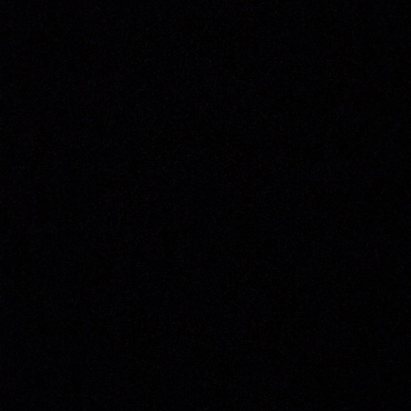 Meet your Posher, Ryder - Picture 1 of 1